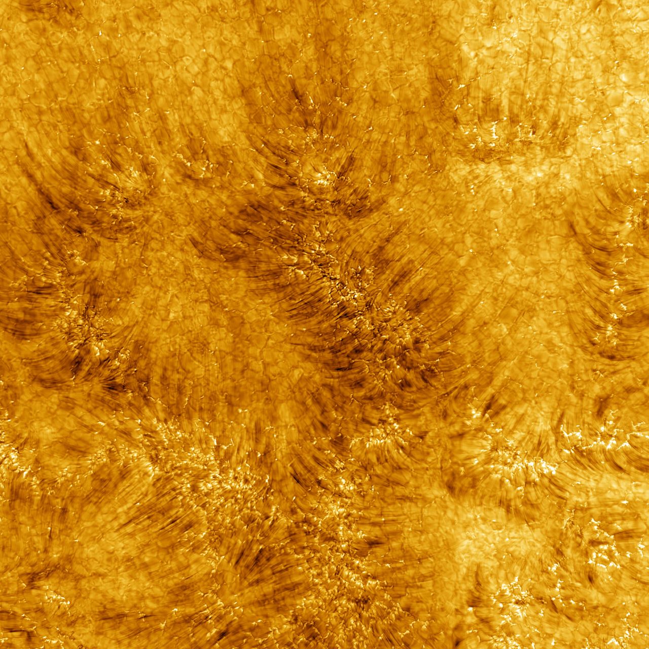Obraz Słońca z Teleskopu słonecznego Daniela K. Inouye