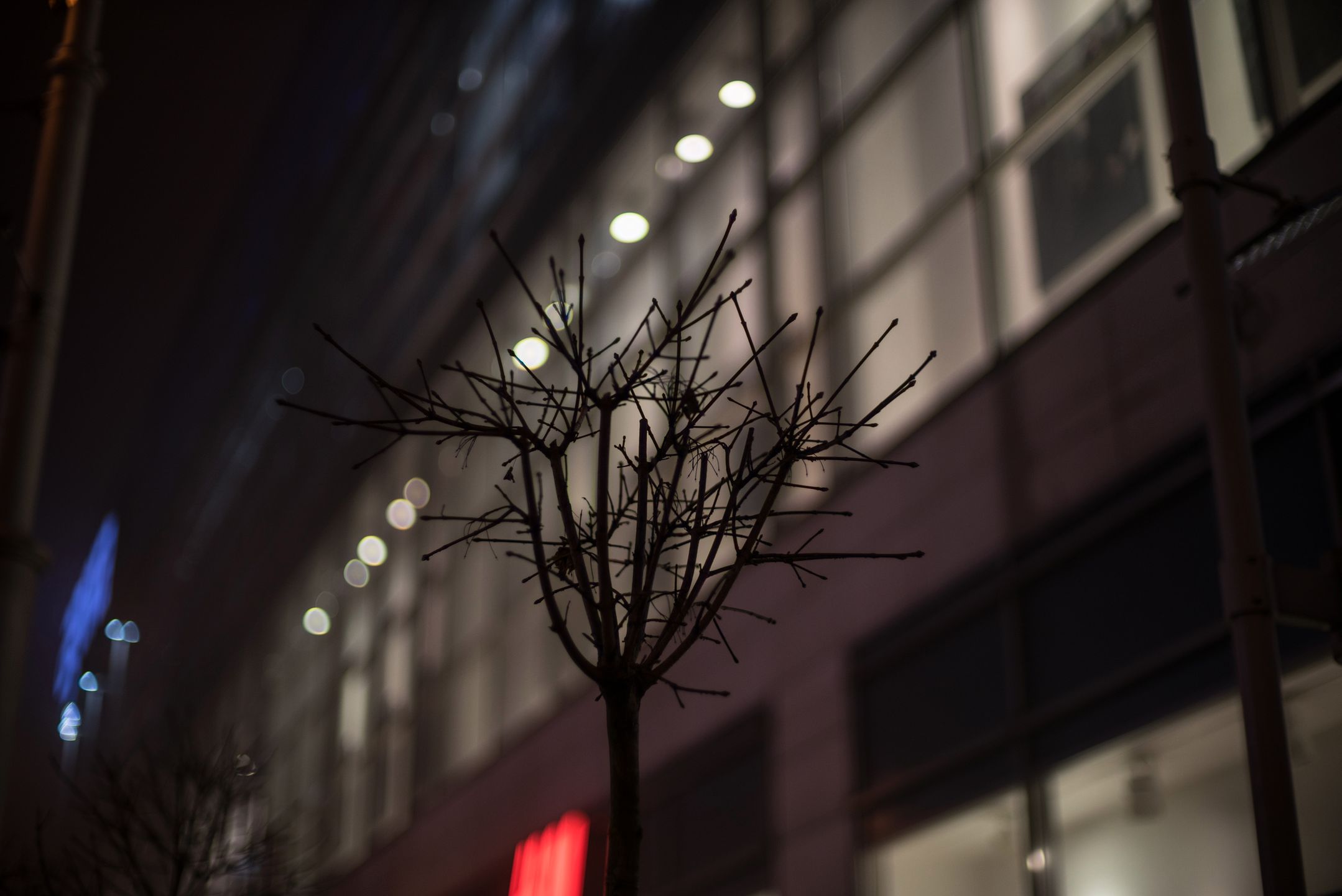 Voigtländer VM 50 mm f/1.1 Nokton - bardzo jasna pięćdziesiątka, która kreuje własną rzeczywistość [test] 72