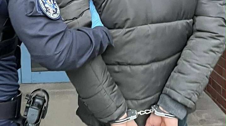 Zatrzymany za kradzież psa w Sopocie 