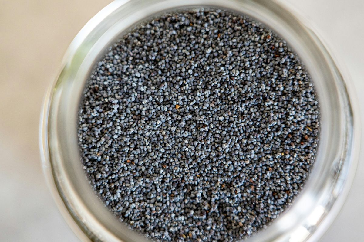 What to do if the poppy seed has a bitter aftertaste?