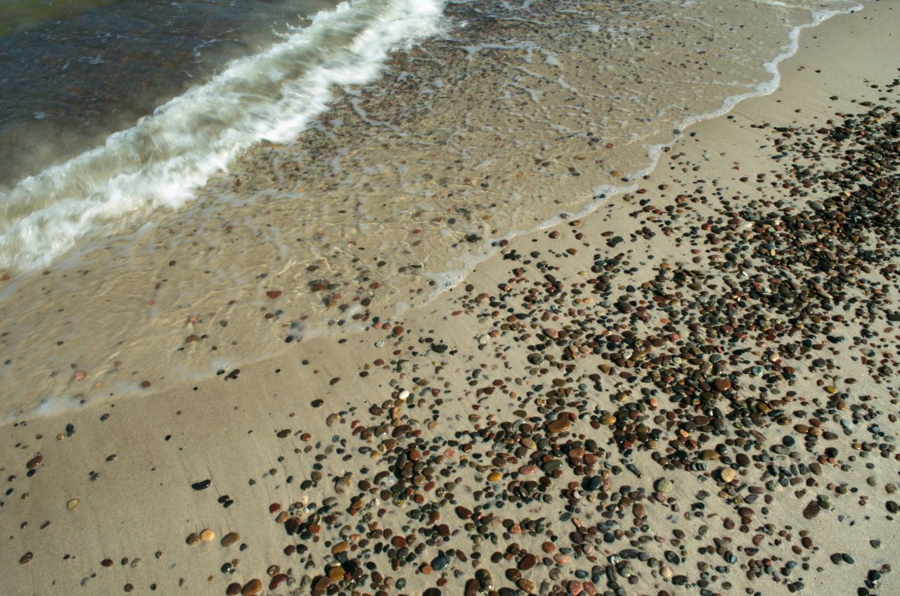 Na plaży szaleństwo. "Można zbierać, zwyczajnie leżą tak"