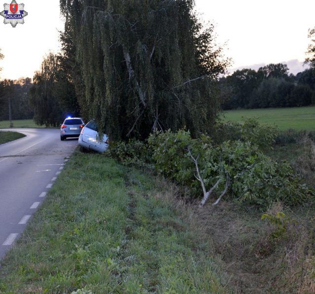 Trzy osoby wsiadły za kierownicę po alkoholu. Jedna z nich zakończyła podróż na drzewie (zdjęcia)
