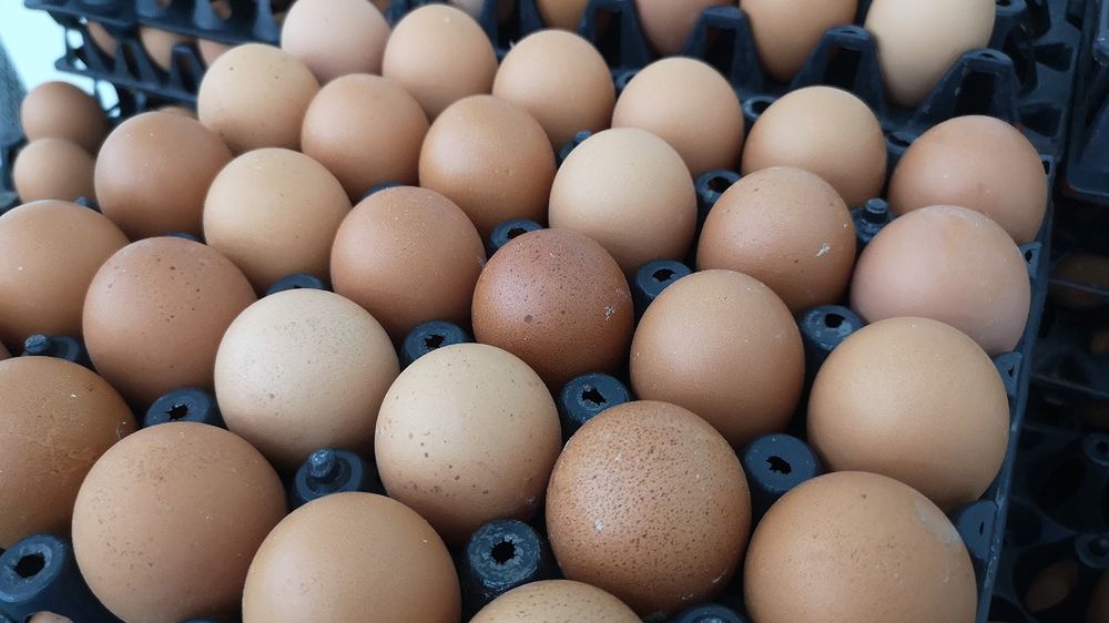 Niecodzienny okład pomoże uporać sie z bólem stawów. Wszystkie składniki znajdziesz w kuchni