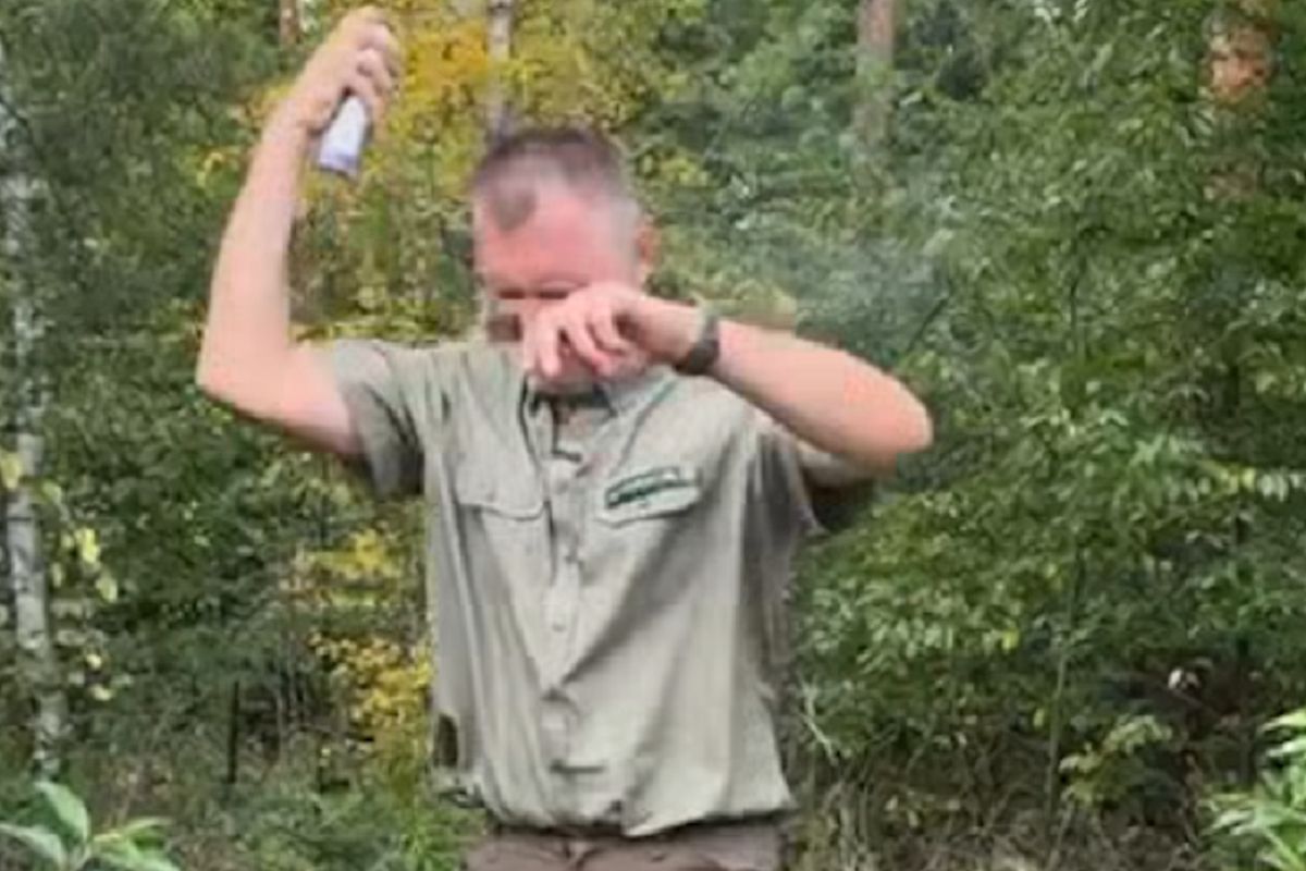 Jak się psikać, aby nie łapać kleszczy. Leśnik tłumaczy