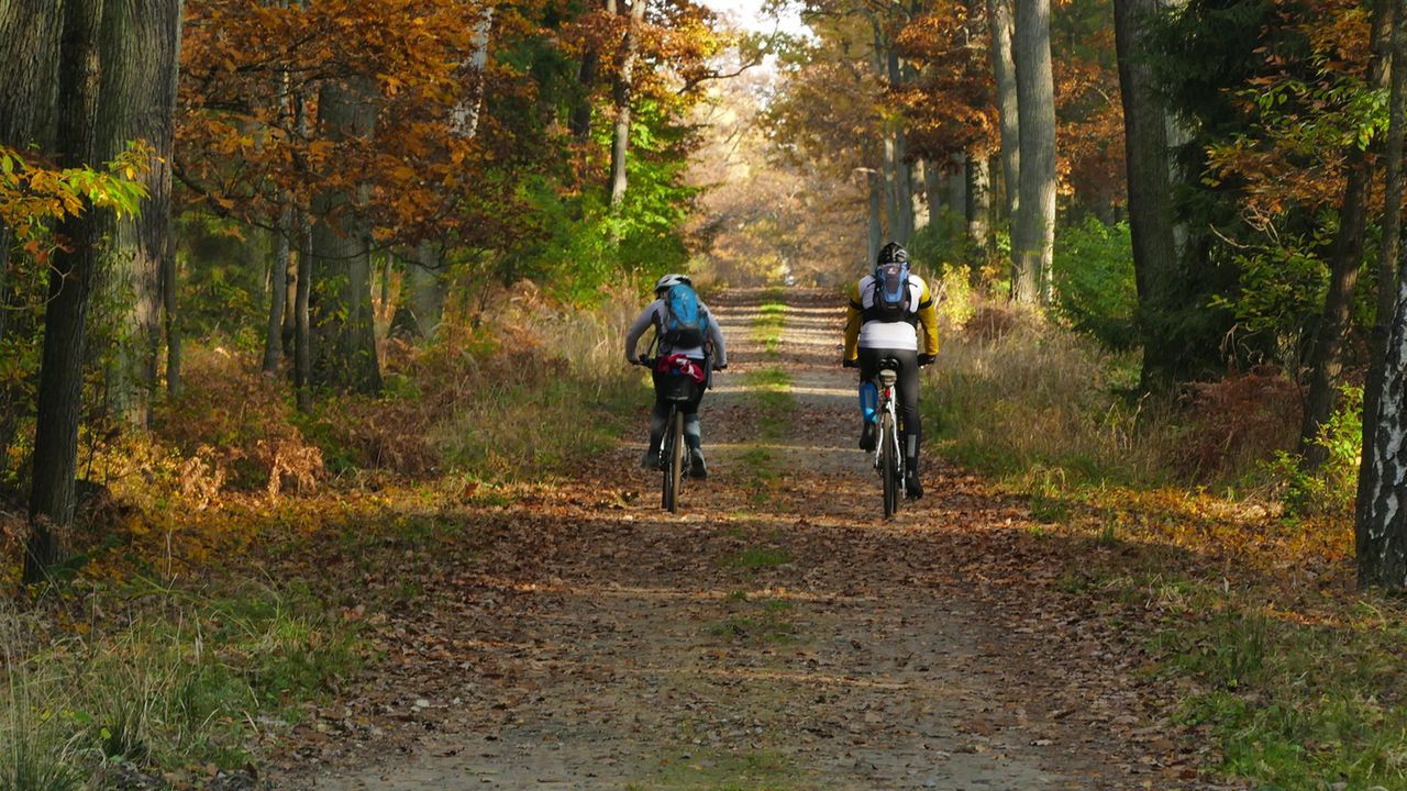 Poznaj 5 rowerów trekkingowych gotowych na każdą trasę