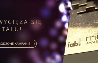 IAB MIXX Awards: Fundacja K.I.D.S. z nagrodą Best in Show, Piotr Piętka Człowiekiem Roku