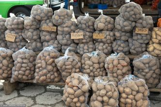 100 tys. ton ziemniaków z Niemiec. Oto co dzieje się na rynku