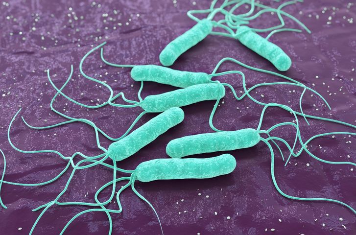Helicobacter pylori - drogi zakażenia, objawy, diagnostyka i leczenie