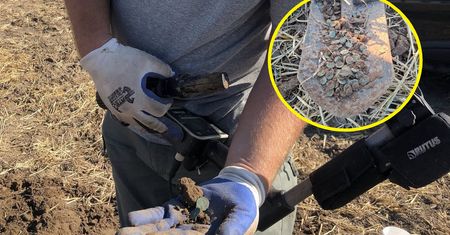 Poszedł na pole z wykrywaczem metali. Wyjątkowe odkrycie na Lubelszczyźnie