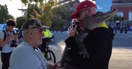 Trudno uwierzyć w ten widok. Tak chciał wejść na mecz