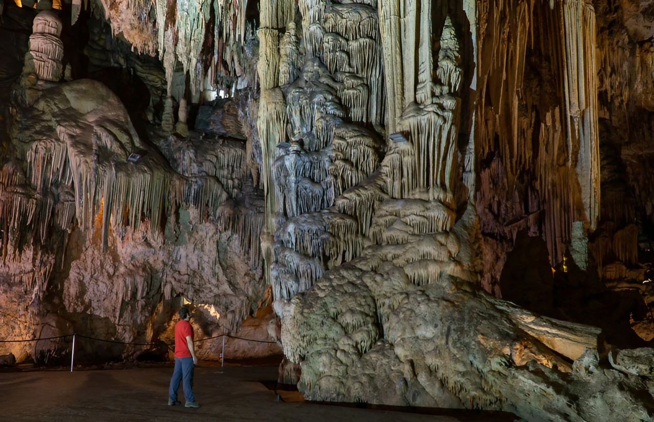 New arachnid species uncovered in Spain's Nerja cave