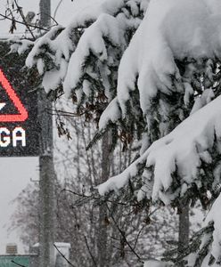 Pogoda. Do czwartku śnieg, od piątku słońce, ale cały czas na minusie