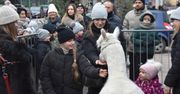 Radom: Jarmark Świąteczny i spotkanie z alpakami. Zwierzaki przyciągnęły tłum dzieci i dorosłych