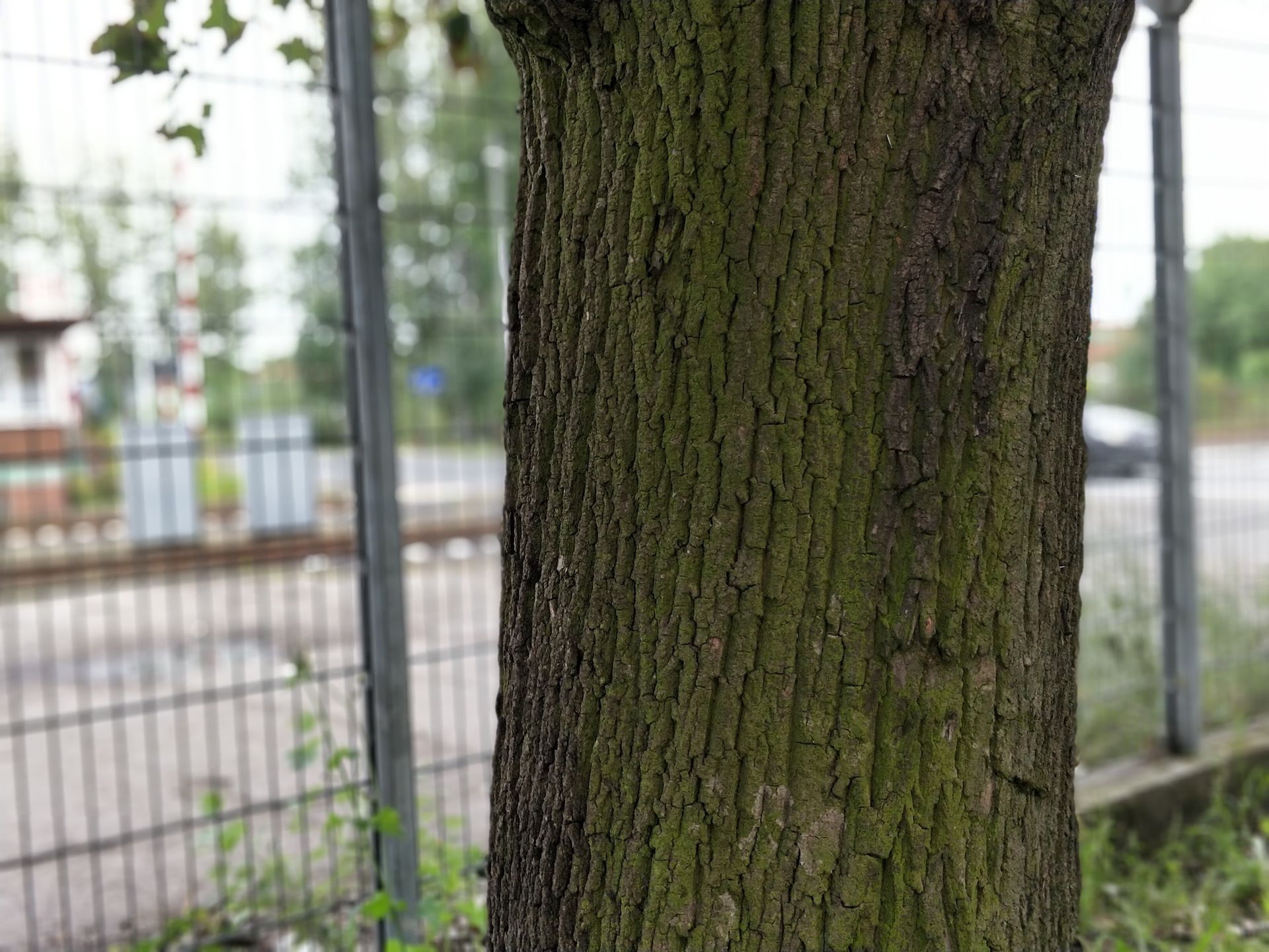 OnePlus 5 to dobry wybór nie tylko dzięki atrakcyjnej cenie [TEST] 51