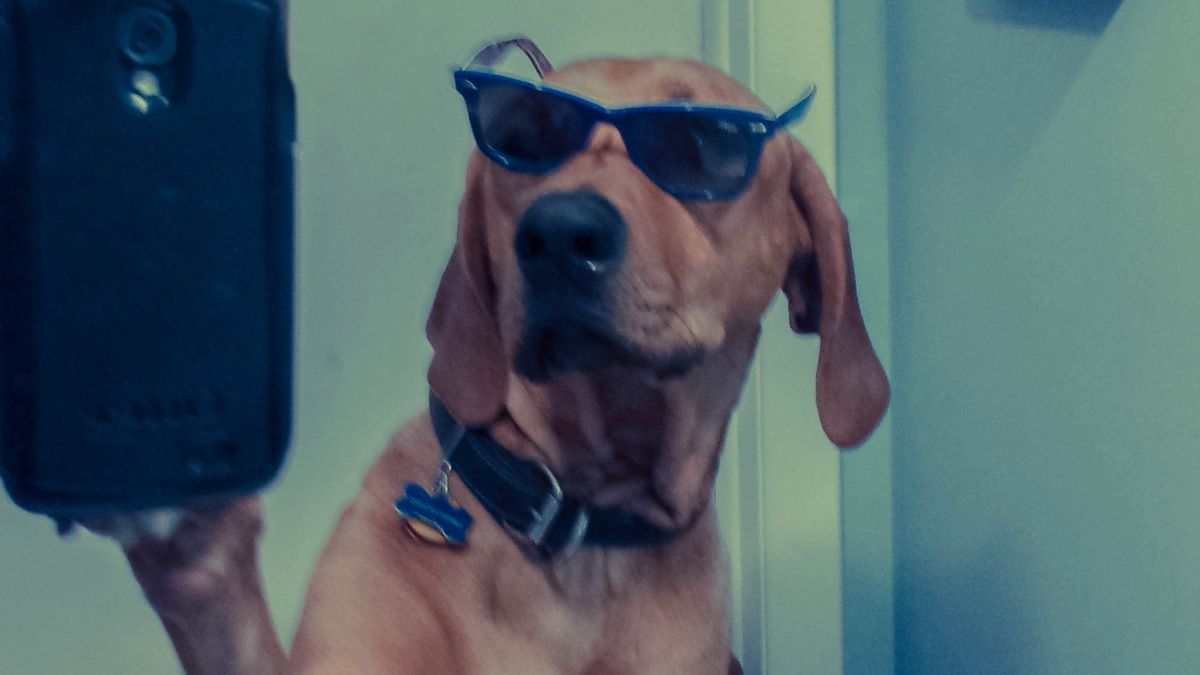 Koniec z emotikonami. Myślicie, że to może być nowy trend? 1