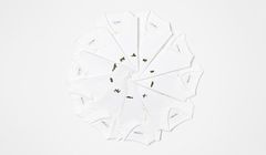 Zagrożone gatunki zwierząt zamiast krokodyla na koszulkach Lacoste