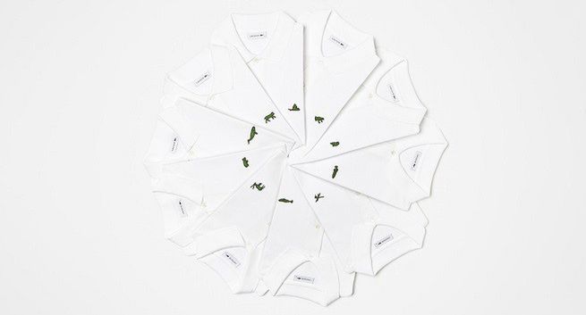 Zagrożone gatunki zwierząt zamiast krokodyla na koszulkach Lacoste