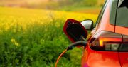 Elektromobilność przyspiesza. Jak utrzymać boom na auta elektryczne w Polsce?