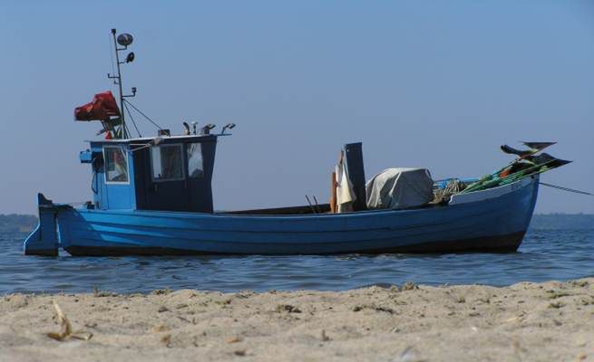 Z Bałtykiem jest coraz gorzej. Wzrasta zanieczyszczenie wody i spada liczba ryb