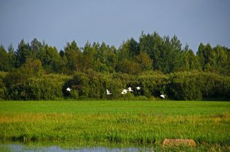 Pieniądze na inwestycje na obszarach Natura 2000