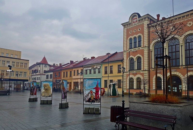 Śląskie. Z okazji Żywieckich Godów Miejskie Centrum Kultury przygotowało na żywieckim Rynku wystawę plenerową.