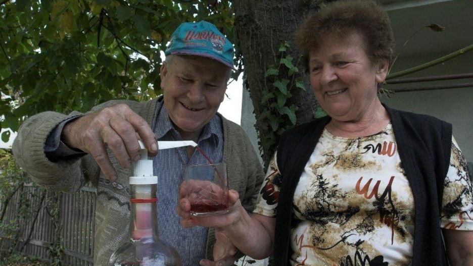 Przepis na wino z winogron