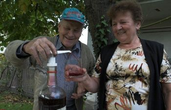Jak zrobić wino z winogron? Sprawdź nasz przepis