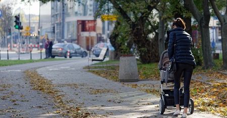 Lublin. Nie sprzątasz liści z chodnika? Możesz zapłacić wysoki mandat