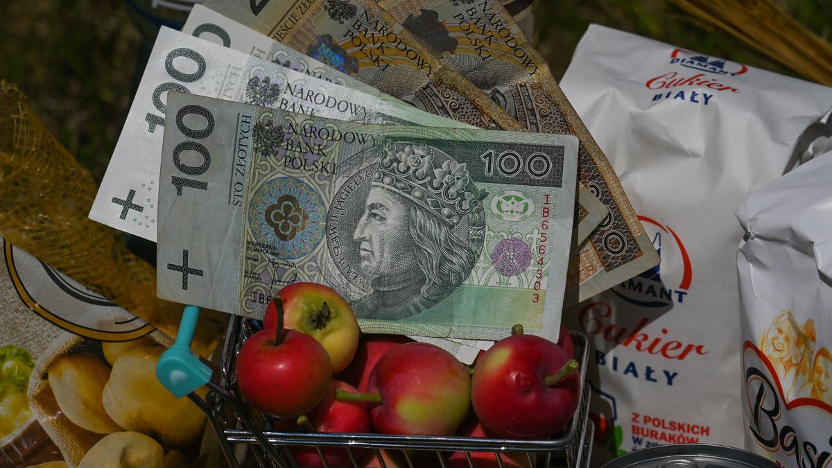 Polish Economy Is Heading Into Stagflation
Everyday basic food products and the mini shopping trolley with Cherry tomatoes and Polish Zloty banknotes.
Poland is facing 'stagflation' with rapidly slowing economic growth and inflation that could reach 20 per cent next year, as per economist Ludwik Kotecki.
On Sunday, July 17, 2022, in Rzeszow, Poland. (Photo by Artur Widak/NurPhoto via Getty Images)
NurPhoto
gas &amp; diesel, gas prices, lifestyle, pzl, polish zloty banknotes, work, zloty, forecast, increase, inflation, jobs, monnetary policy, no growth, prices, prices rising, rising prices, stagnation, everyday basic food products, mini shopping trolley, economist ludwik kotecki, cherry tomatoes, economic growth, 20 per cent, rzeszow, photo