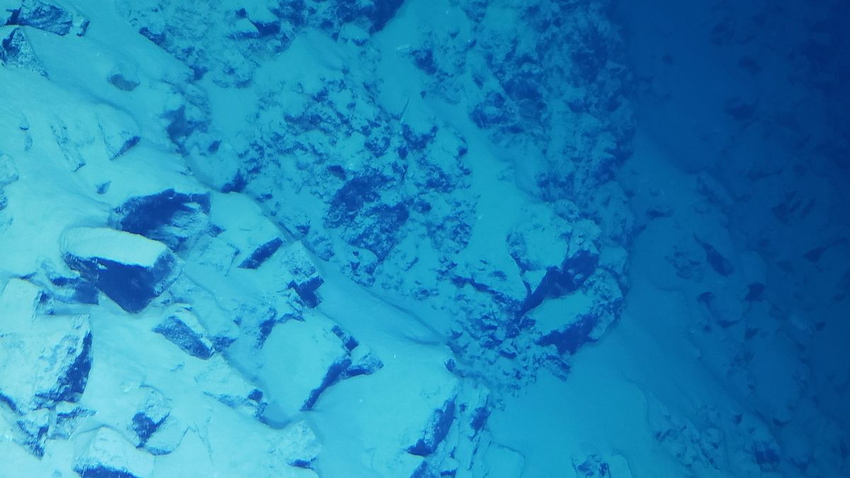 Ściana Rowu Mariańskiego na głębokości ok. 10 800 metrów.