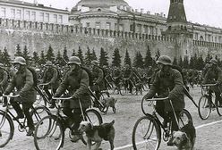 Psy przeciwpancerne w Armii Czerwonej