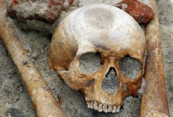 Czaszka ''wampira'' na wystawie w Warszawie