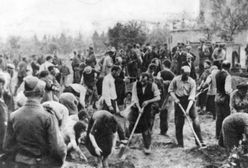 Masakra w Babim Jarze