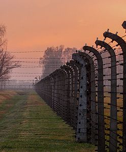 Dyrektorzy muzeów krytykują prokuraturę ws. "polskich obozów"