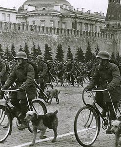 Psy przeciwpancerne w Armii Czerwonej