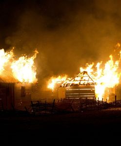 Piotr Zychowicz o filmie "Wołyń"