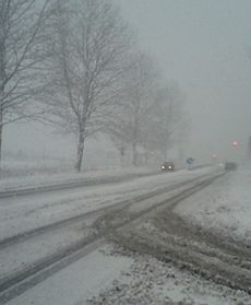 Niebezpiecznie na drogach