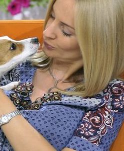 Pies Agnieszki Szulim wyrzucony z telewizji