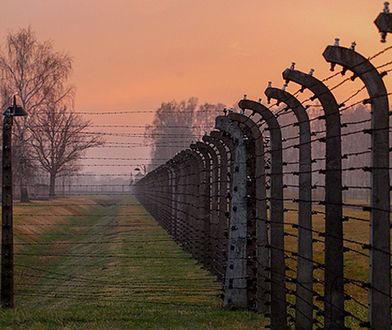 Dyrektorzy muzeów krytykują prokuraturę ws. "polskich obozów"