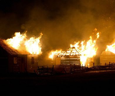 Piotr Zychowicz o filmie "Wołyń"