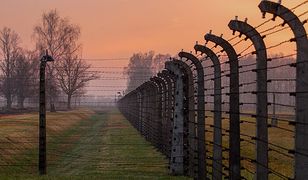 Dyrektorzy muzeów krytykują prokuraturę ws. "polskich obozów"