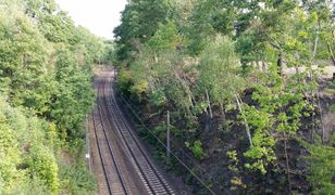 "Złoty pociąg" - jeszcze w tym roku kolejne poszukiwania