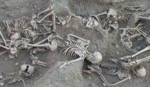 Archeolodzy odkryli w Mińsku Mazowieckim ofiary zarazy sprzed kilkuset lat