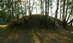 Odkryto kilkadziesiąt kurhanów sprzed ponad 2 tys. lat