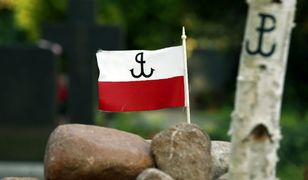 IPN rozpoczął kolejny etap poszukiwań ofiar komunizmu na Łączce