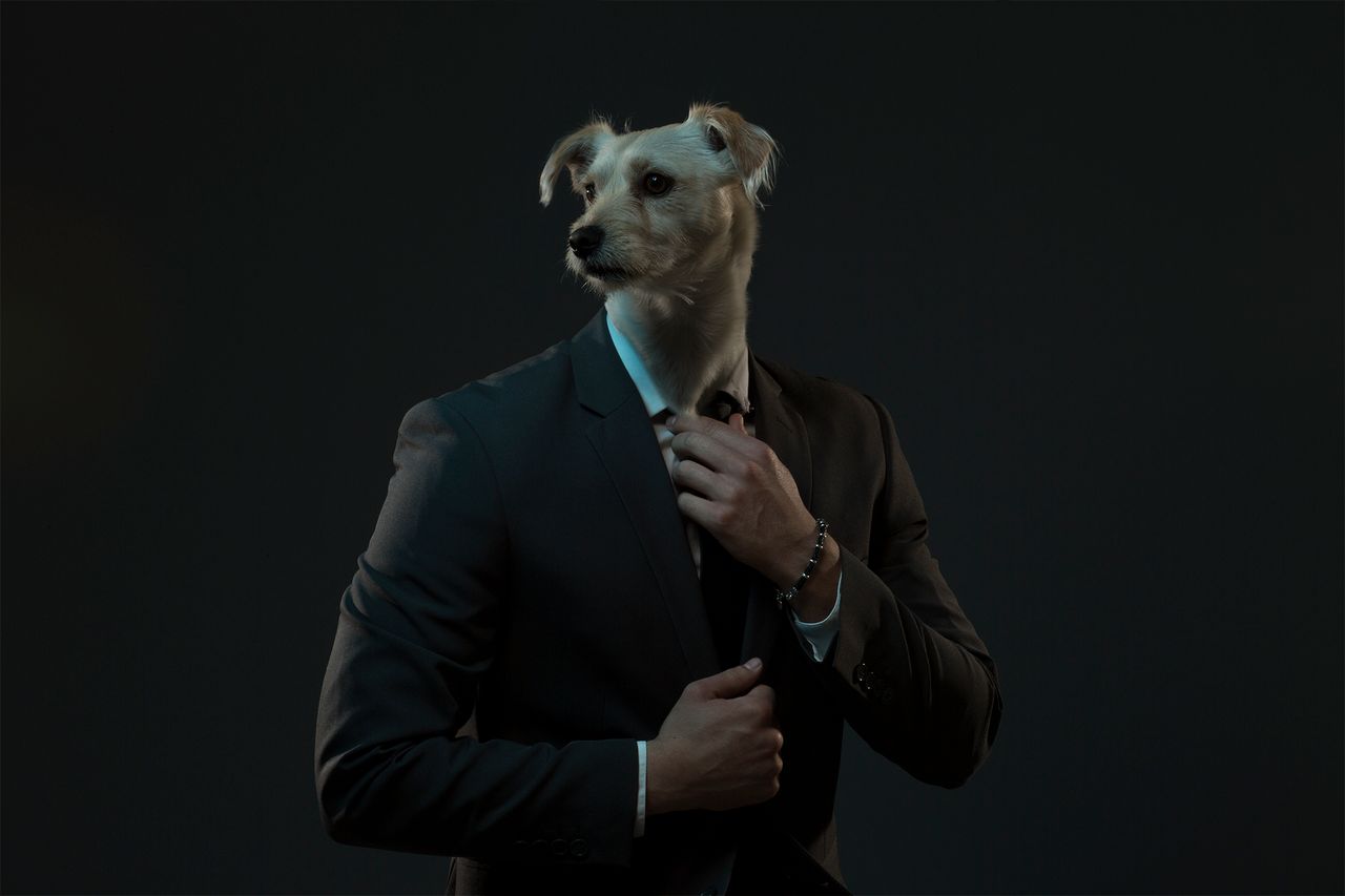 „Reflection of Me” to projekt fotograficzny, na którym możemy zobaczyć abstrakcyjne portrety pso-ludzi. Głowa na zdjęciach należy do konkretnej rasy psa, a ciało odpowiada charakterom zwierząt. Alvarez sięgnął tu do wizualizacji powiedzenia „jaki pan, taki kram”, zaznaczając, że pies upodabnia się do jego właściciela.