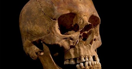 Badania szkieletu króla Ryszarda III potwierdzają prawdziwość relacji o jego śmierci