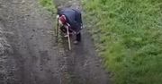 Uznała babcię za zmarłą. Nagle ukazała się na filmie. Wieści z Ukrainy