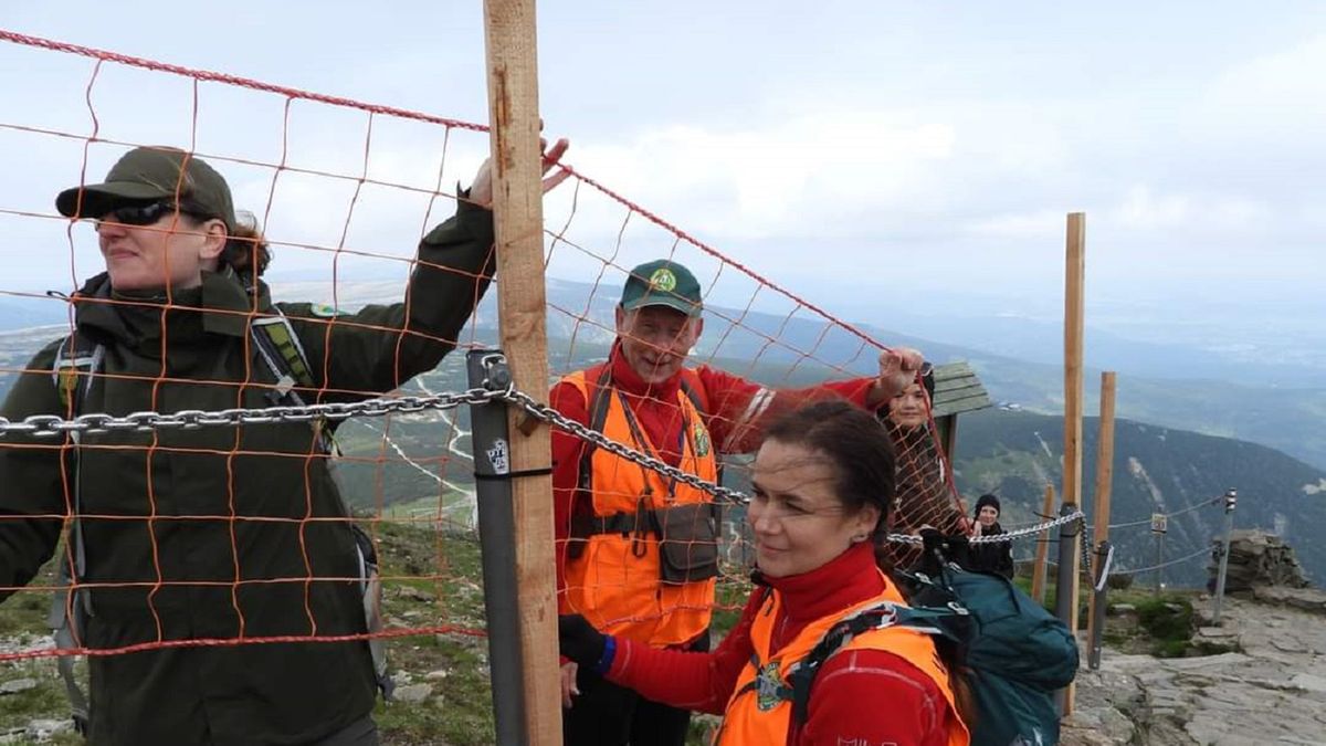 Pracownicy Karkonoskiego Parku Narodowego zakładają siatki przy popularnych szlakach wokół Śnieżki.
