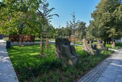 Pogoda. Wrocław. 15 sierpnia - ostatni dzień upałów. Załamanie pogody już w poniedziałek